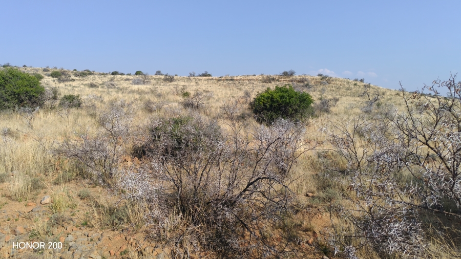 0 Bedroom Property for Sale in Cradock Eastern Cape